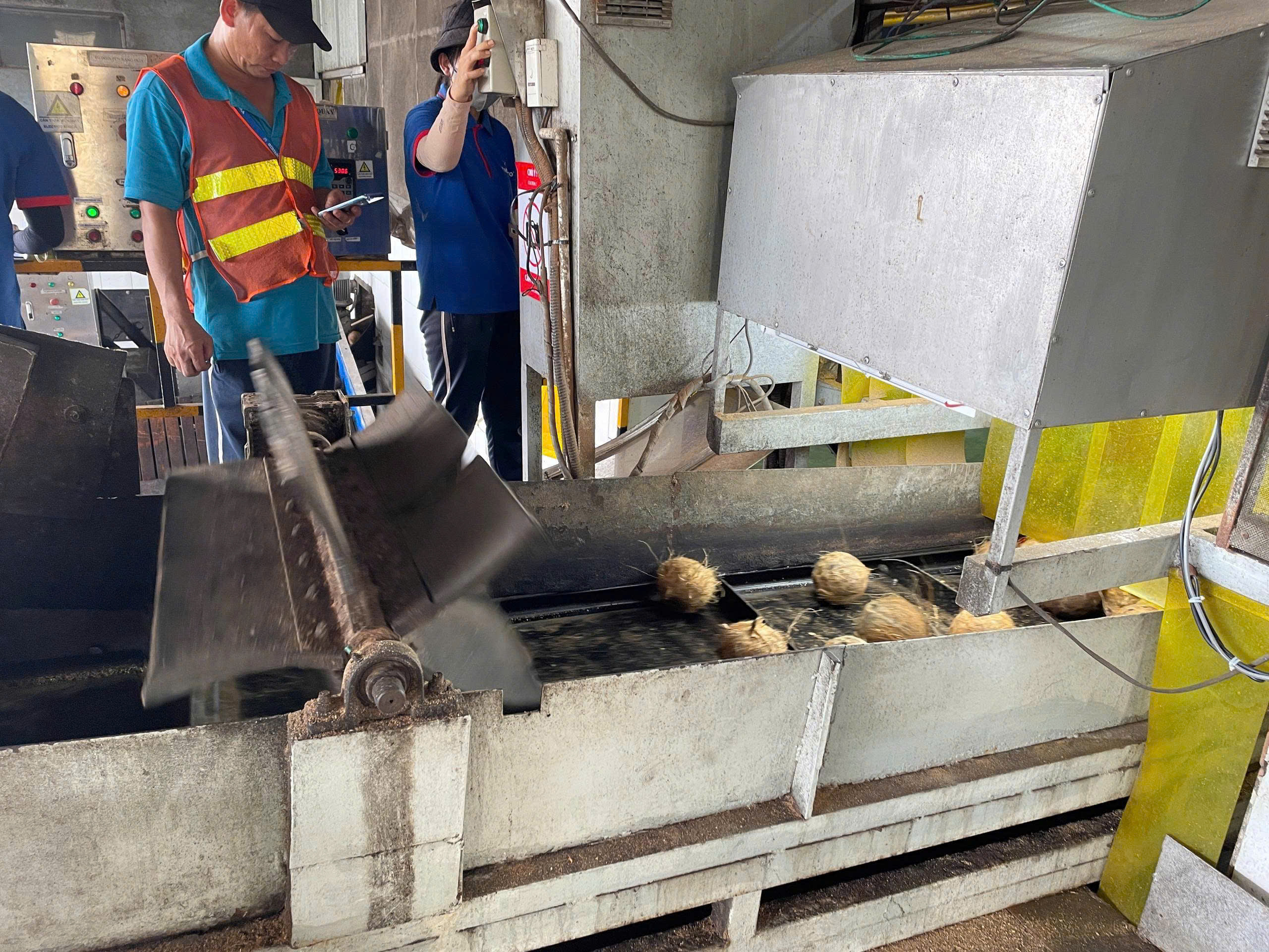 Bàn giao hệ thống đếm dừa